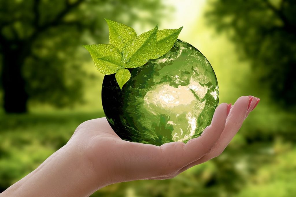 Online: Nachhaltigkeit im (Schul-) Alltag   (November + Dezember 2020)